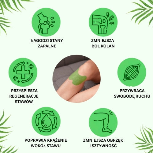 Naturlex - Ziołowe Plastry na Ból Kolan